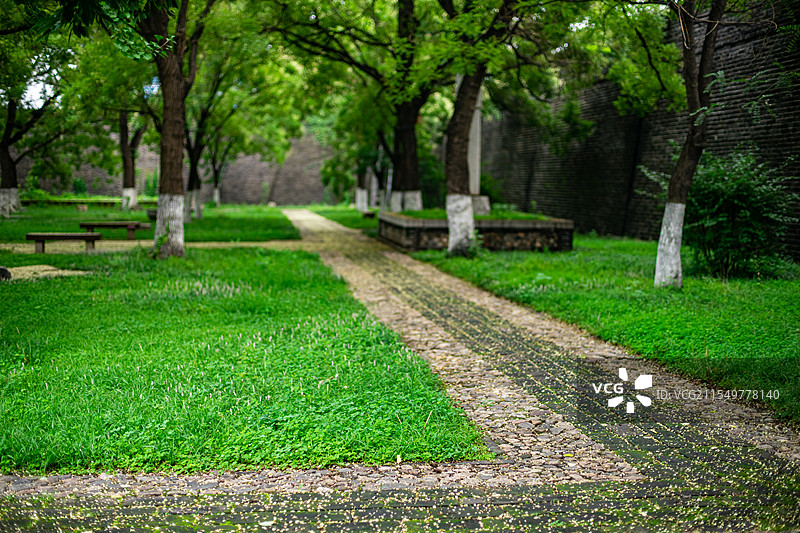 中国园林中式庭院拍摄主题，山东泰安岱庙城墙和洋槐树落的花和花园路，户外白昼无人图像摄影图片素材