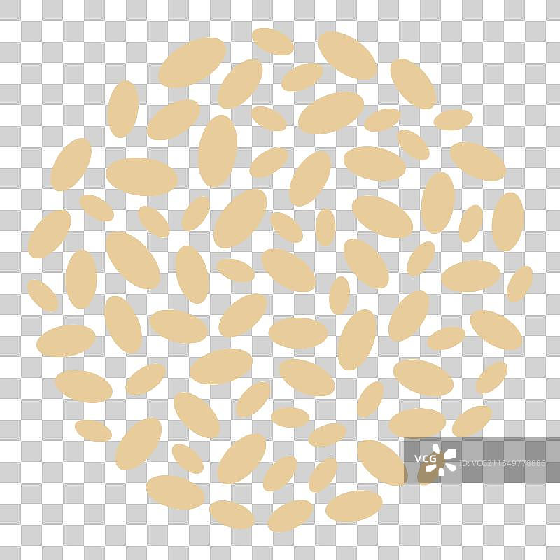 南瓜种子或黄瓜圆形背景图片素材