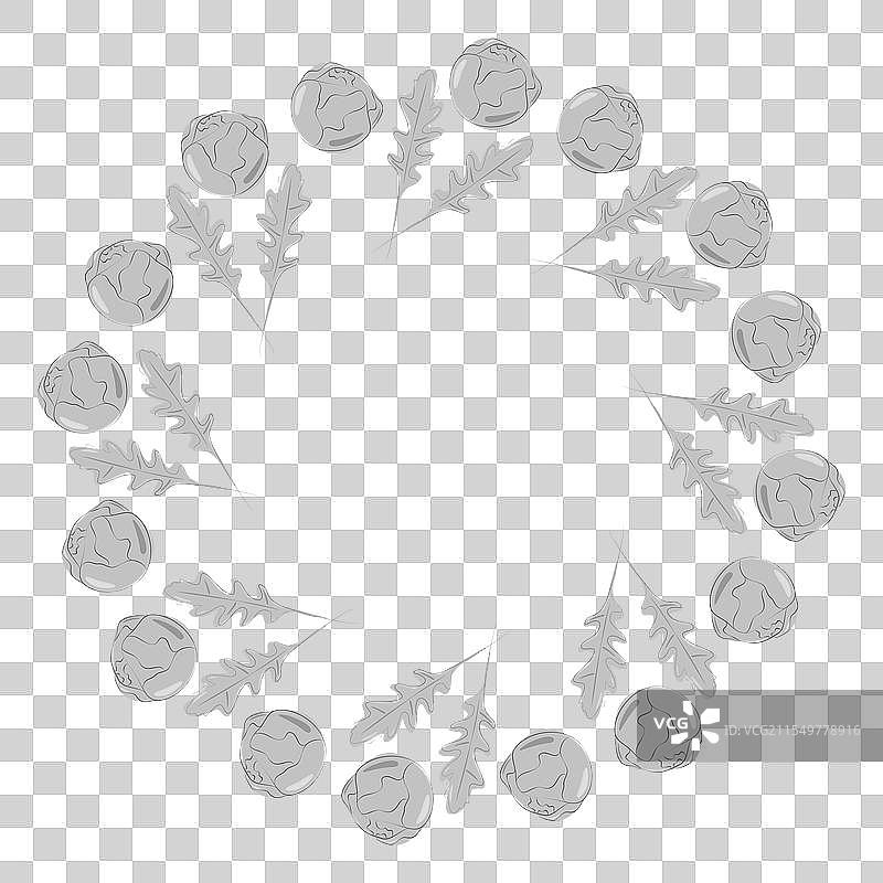 芝麻菜叶和布鲁塞尔芽菜的圆形框架图片素材