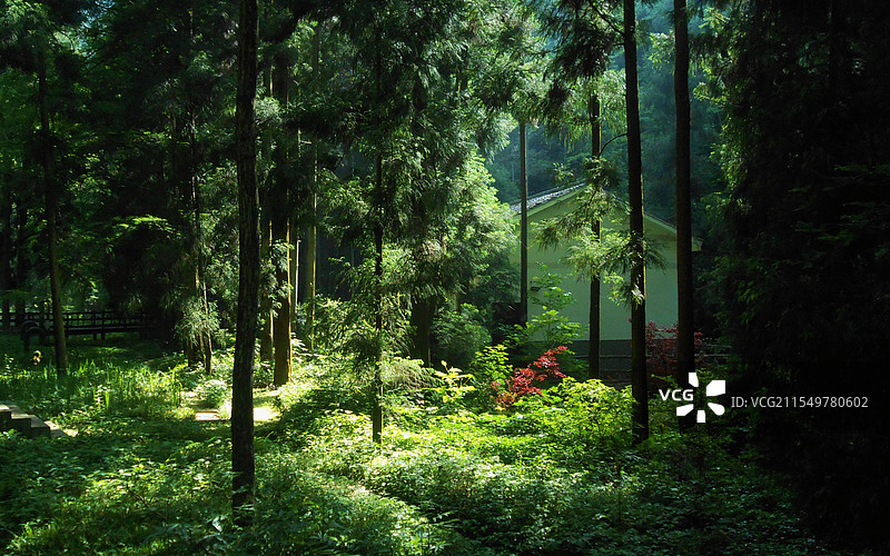 张家界武陵源国家森林公园金鞭溪图片素材