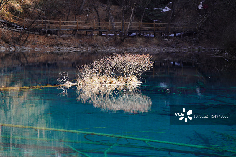 冬日九寨沟五花海图片素材