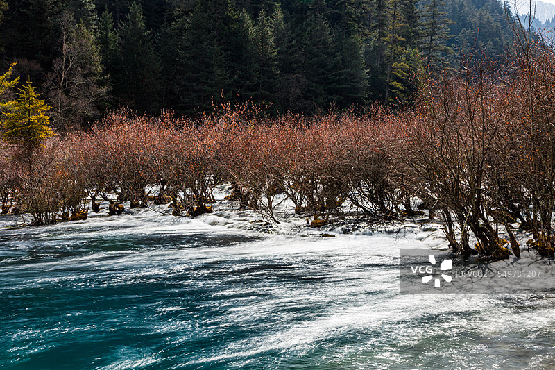 林间小溪水潺潺图片素材