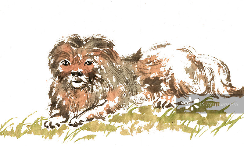 可爱的小狗图片素材