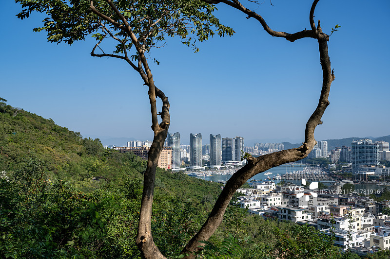 鹿回头公园冬日风光图片素材