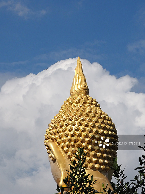 2024年11月5日云南西双版纳勐泐大佛寺蓝天白云间的金黄色的佛像雕塑头部特写图片素材