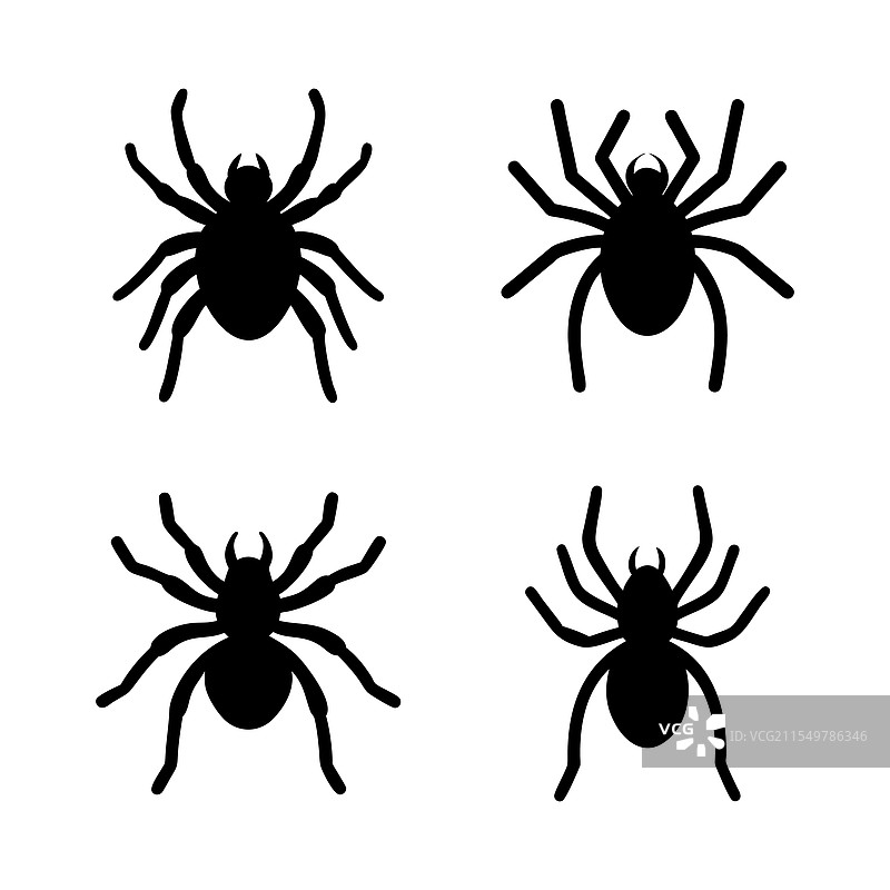 蜘蛛剪影图片素材