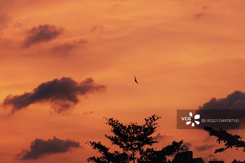 日落画卷图片素材