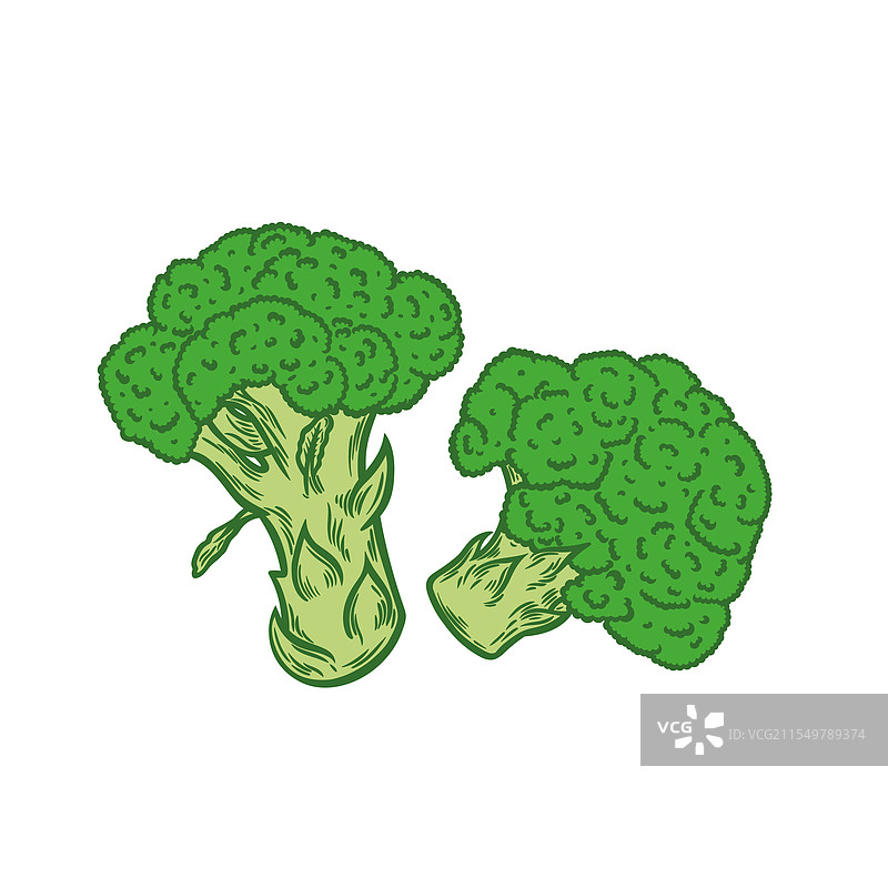白色背景上的青花菜雕刻风格图像图片素材