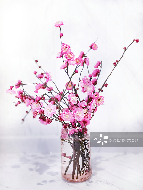 花儿盛放图片素材