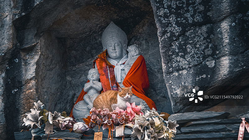 猫猫与菩萨图片素材