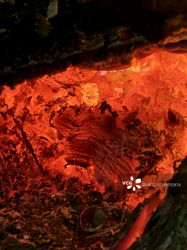 火里燃烧的木炭图片素材