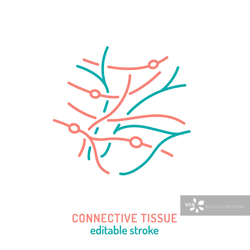 结缔组织线条图标 胶原蛋白护肤图片素材