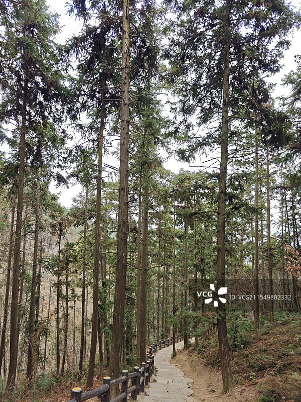 庐江冶父山国家森林公园图片素材