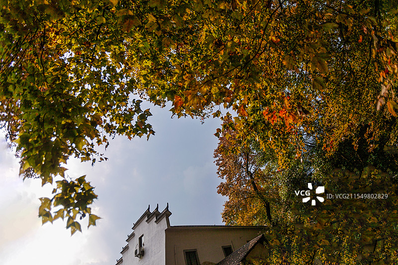 浙江省杭州市萧山指南村秋色图片素材