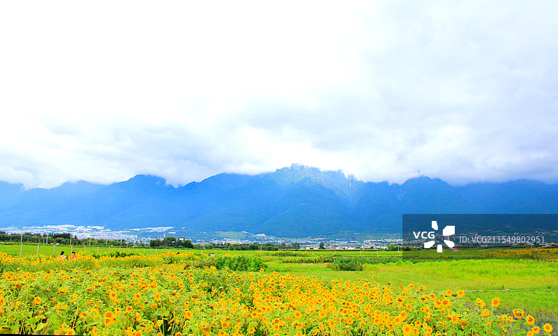 云南——花花绿绿图片素材
