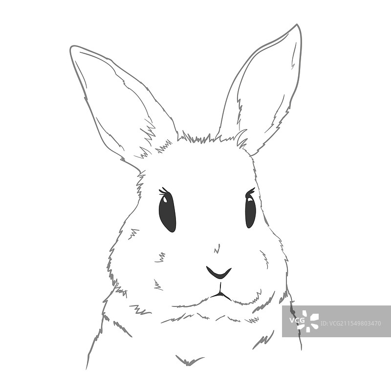 可爱的兔子轮廓供涂色用图片素材