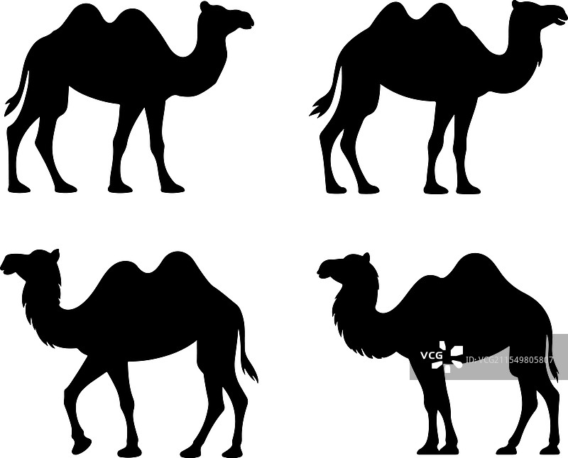 骆驼剪影系列图片素材