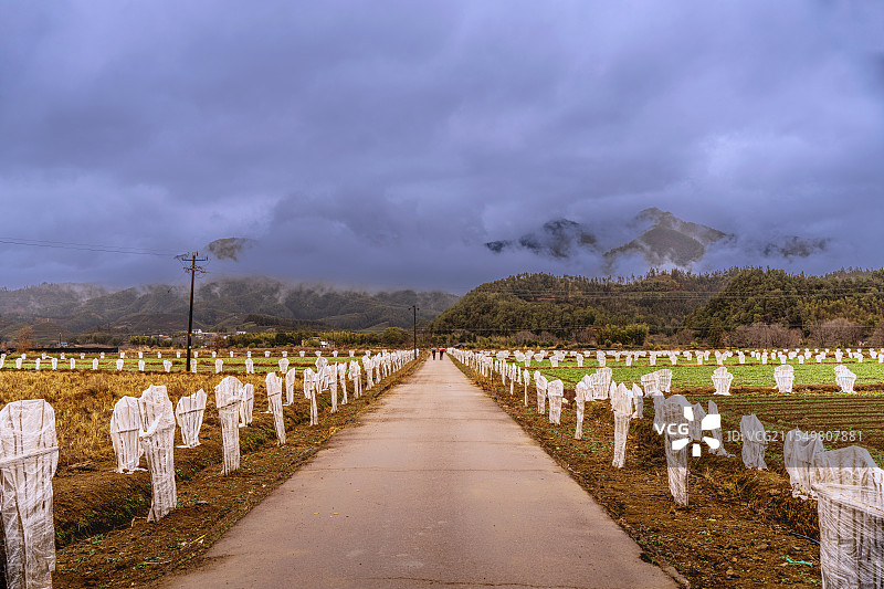 我们走在大路上图片素材
