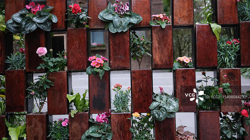 花墙图片素材