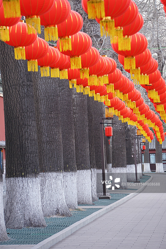 北海公园的清晨图片素材