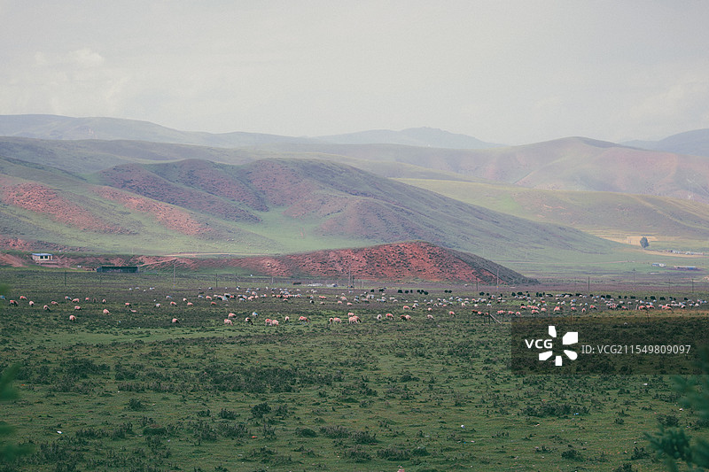 梦中的草原图片素材