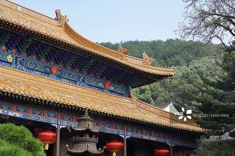 浙江舟山市普陀山景区法雨禅寺九龙宝殿屋顶图片素材