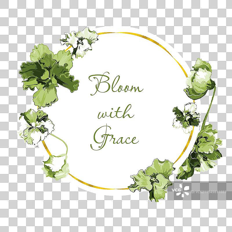 花园里盛开着娇嫩的紫罗兰图片素材