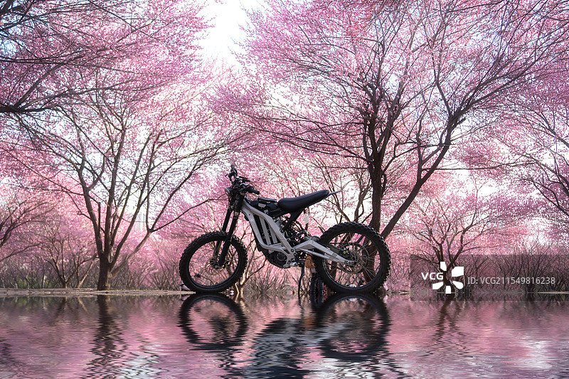 梅花盛开的季节图片素材