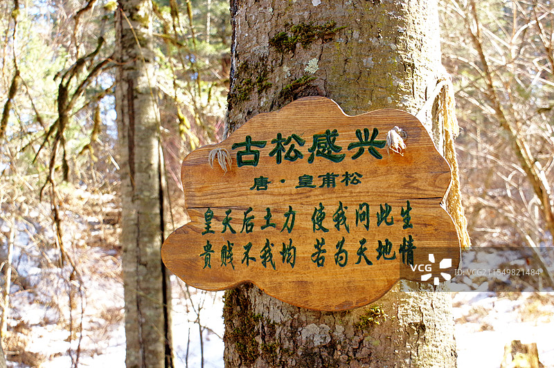 汤原县大亮子河国家森林公园图片素材