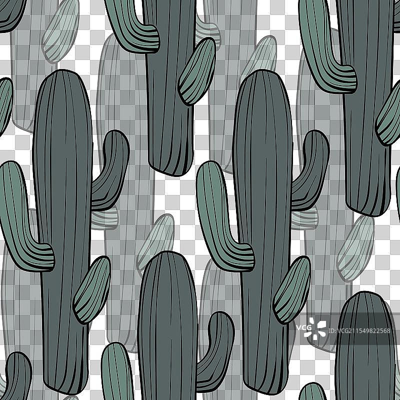 无缝图案，盛开的多肉植物仙人掌图片素材