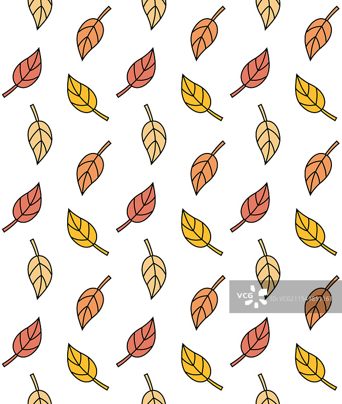 流畅的秋季树叶图案图片素材