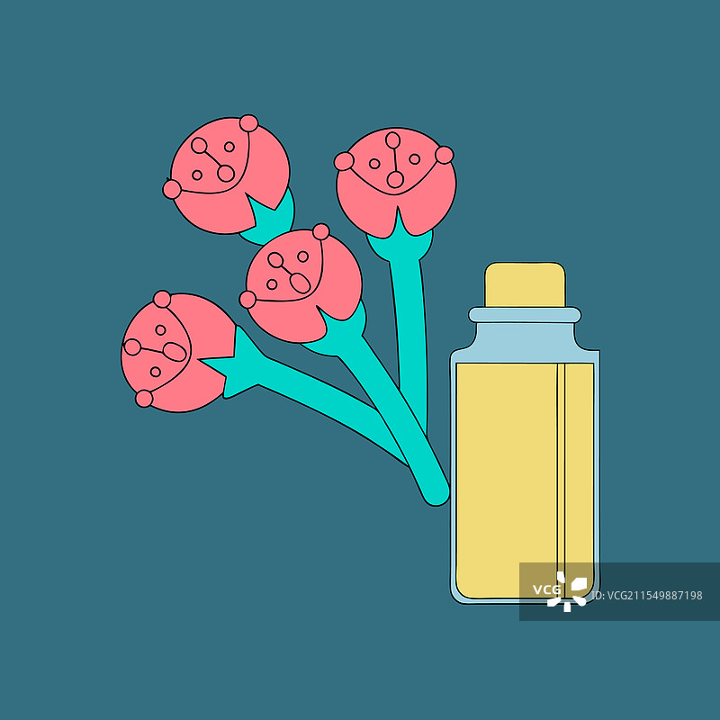 丁香花蕾与一小瓶丁香精油图片素材