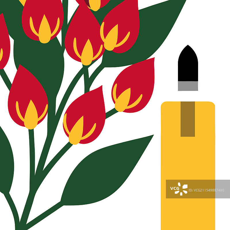 丁香花蕾与一小瓶丁香精油图片素材