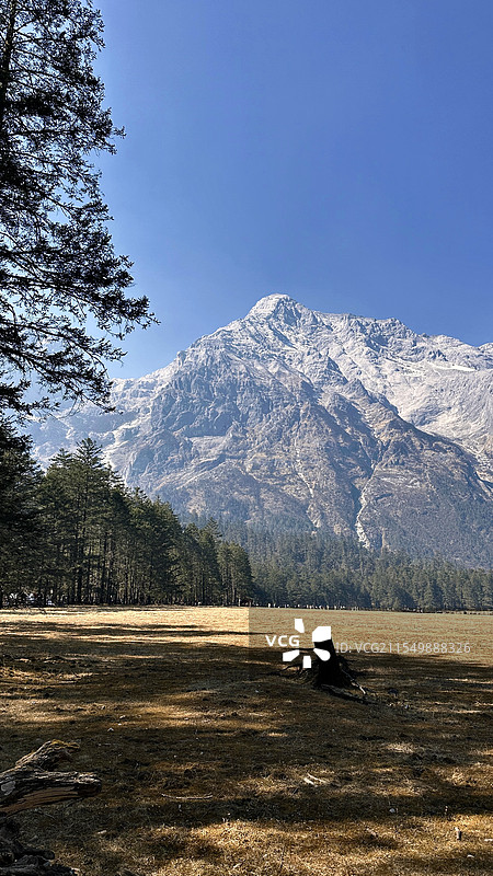云南云杉坪图片素材