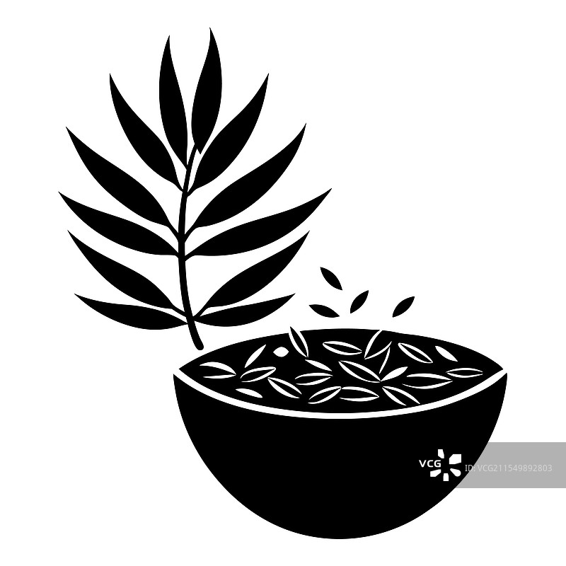 风格化的孜然种子碗与孜然植物图片素材