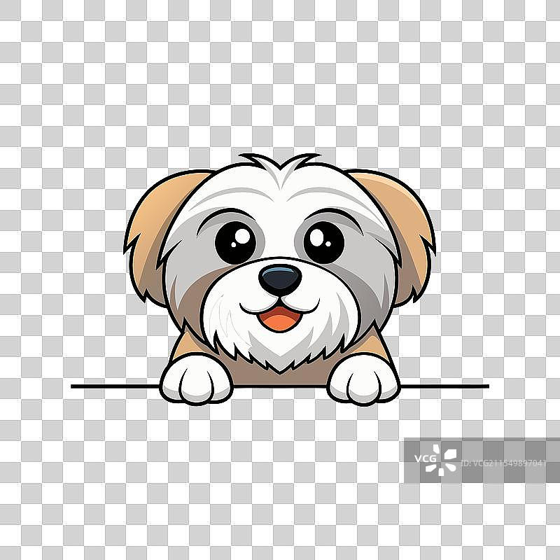 西施犬探出头来图片素材