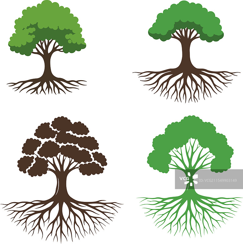 一组绿色树根的树木根系图片素材