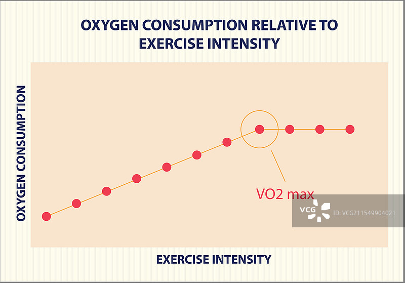 运动期间氧气消耗的图表图片素材