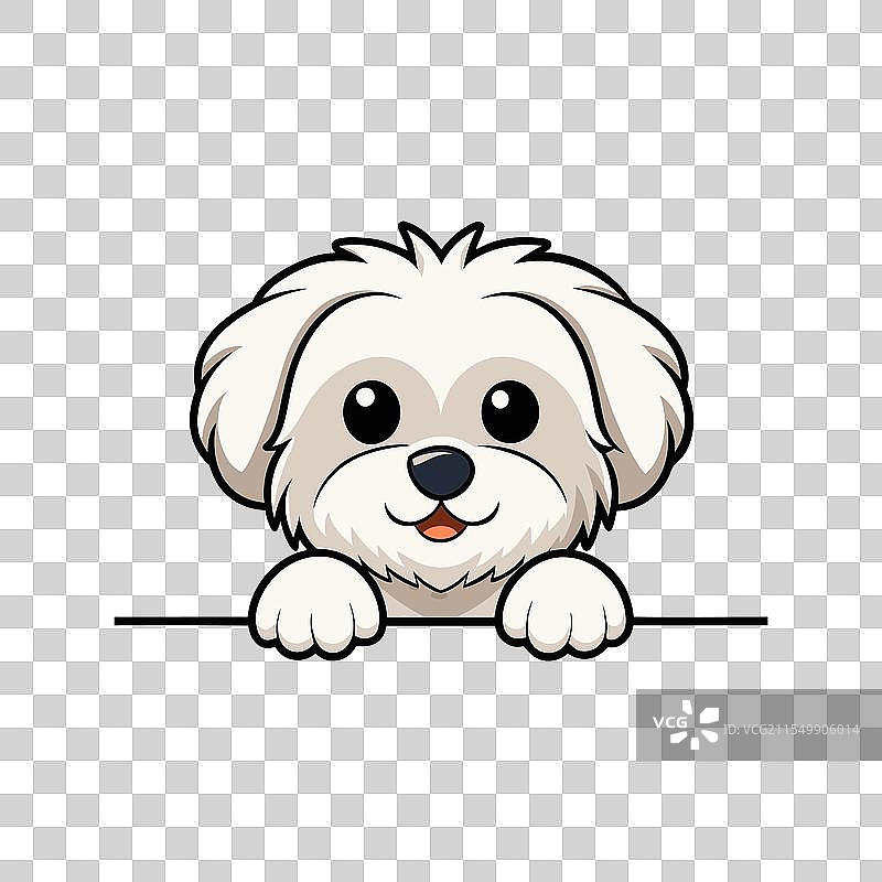 可爱的马尔济斯犬探出头的SVG图案图片素材