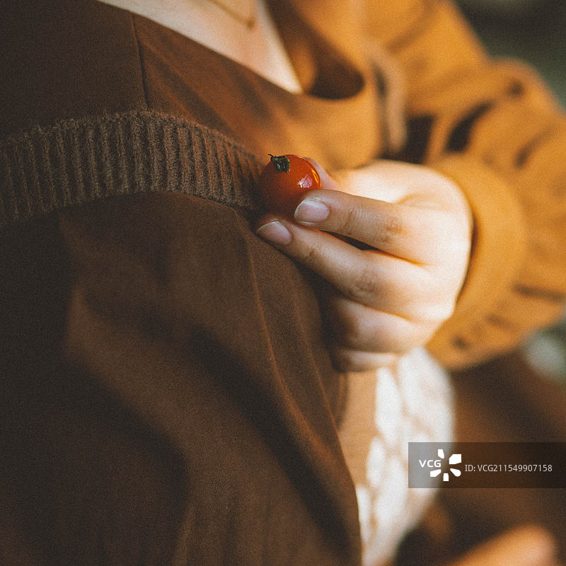 有机小番茄图片素材