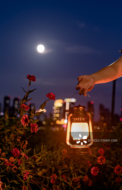 夜晚的月亮温柔地洒下银辉，女孩儿提着马灯，百日草在她手中轻轻摇曳，微风拂过，带来一丝清凉。图片素材