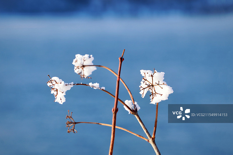 贝加尔湖畔雪花图片素材