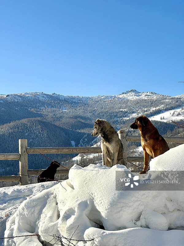 温馨的一家三口图片素材