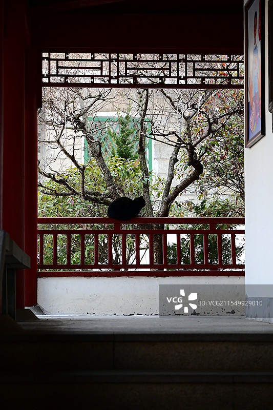 环翠楼公园图片素材