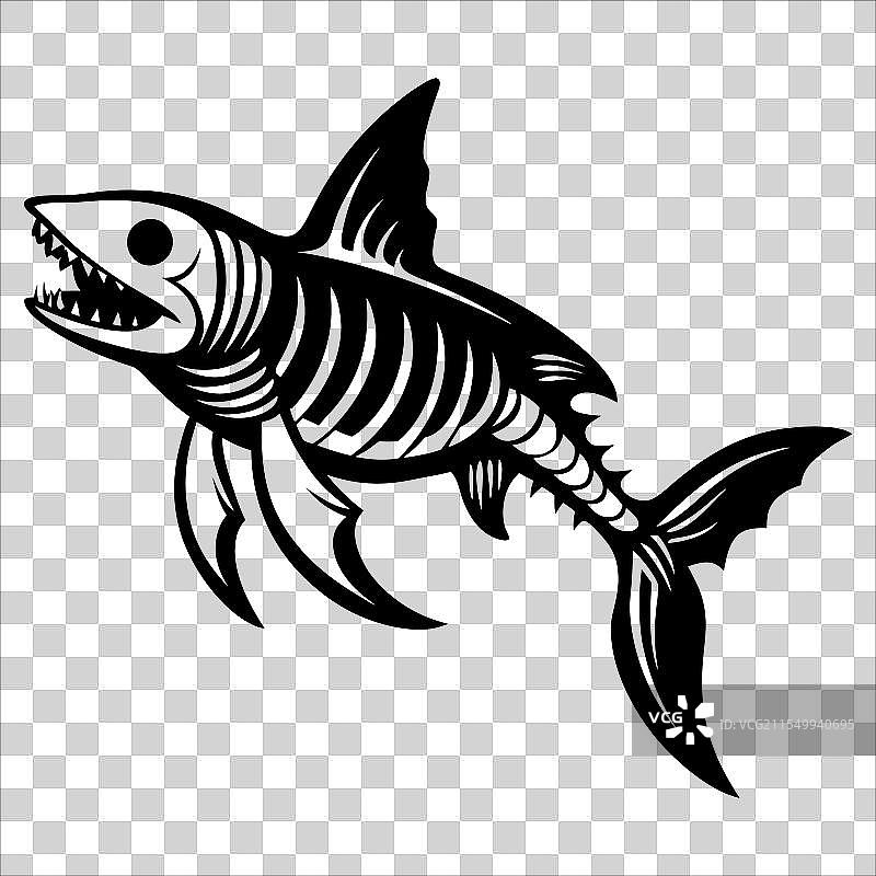 骷髅鲨鱼素描图片素材