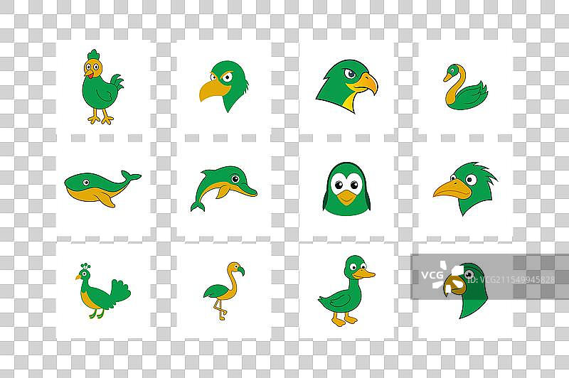 猛禽与常见鸟类的合集图片素材