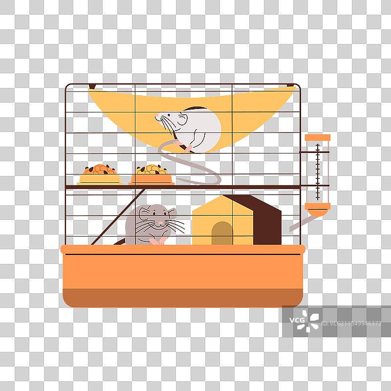 两个老鼠在仓鼠笼里，旁边有水瓶图片素材