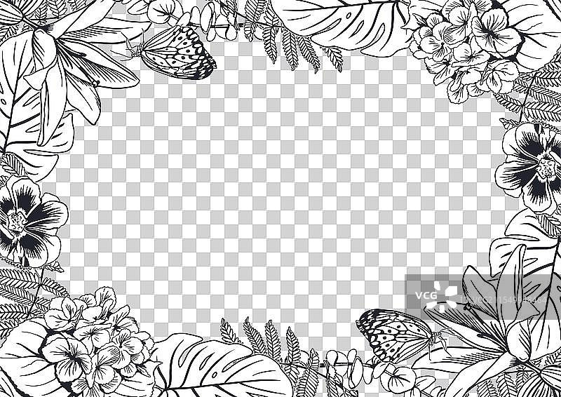 热带墨水框架，包含 monstera 椰子叶和蕨类植物图片素材