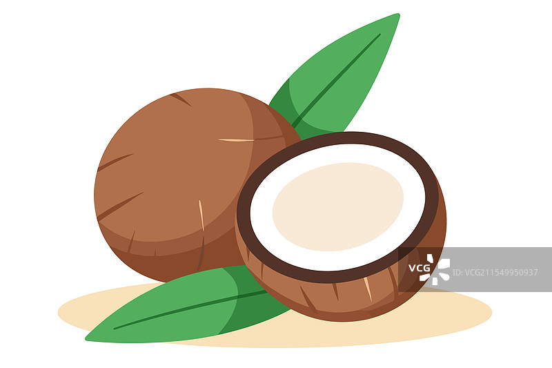 椰子与叶子 - 一个完整的和一个图片素材