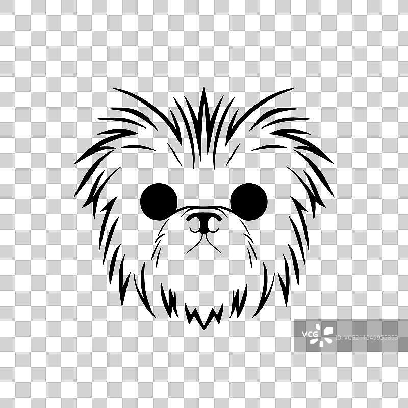 黑白色的阿芬平犬图片素材